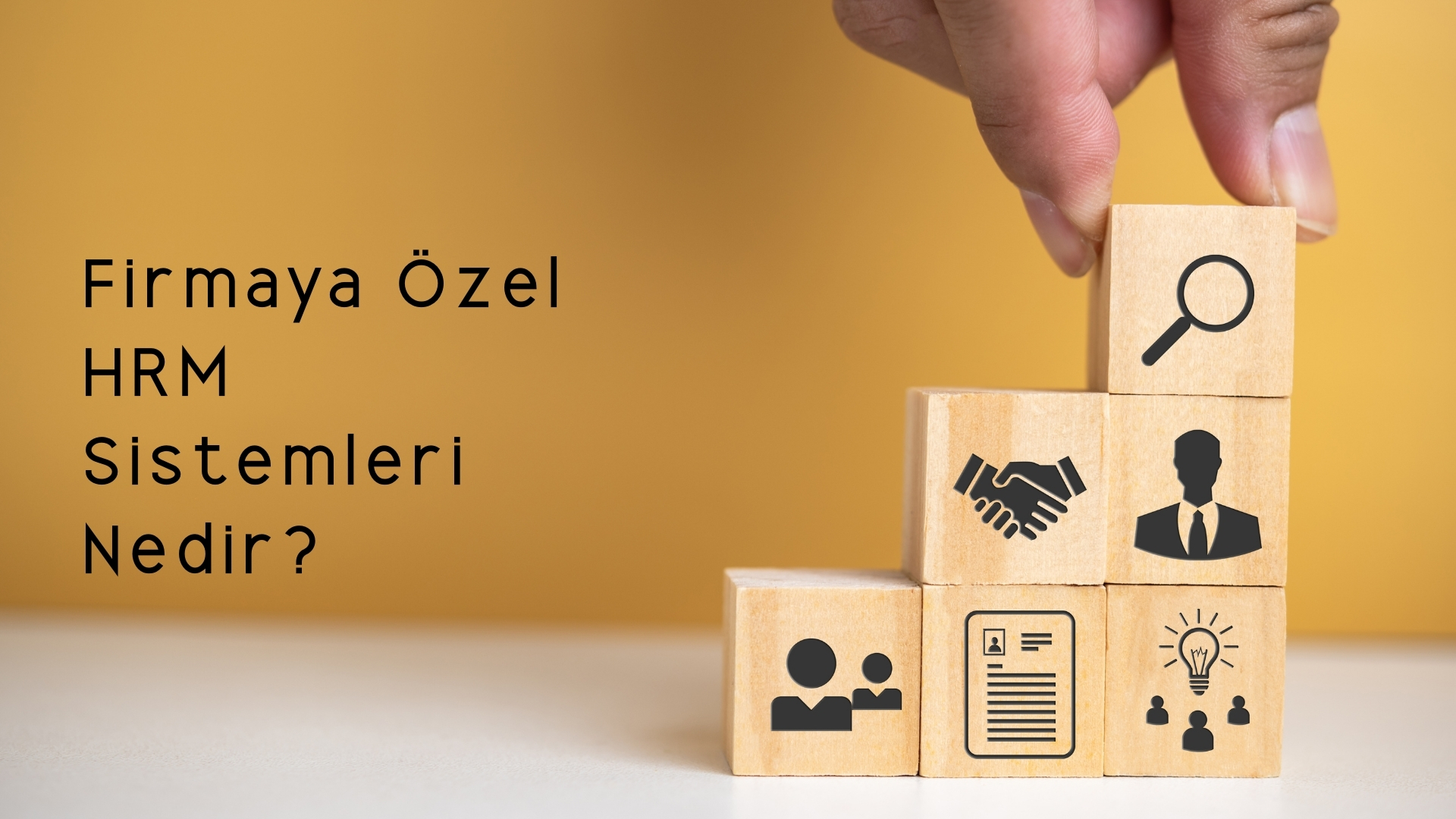 insan kaynakları hrm insan kaynakları hrm